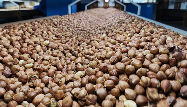 Fındıktan 455 milyon dolar