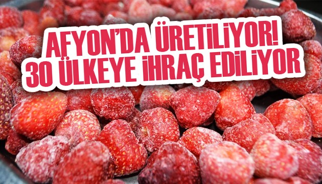 Afyonkarahisar'dan 30 ülkeye dondurulmuş meyve ihracatı