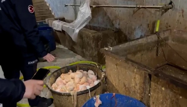 Binlerce kilo sakatat imha edildi