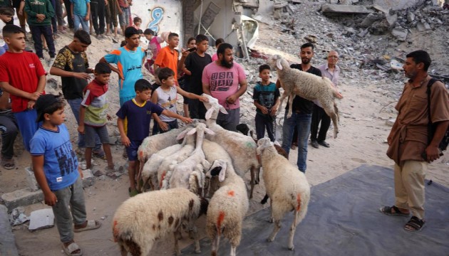 Gazzeliler kurbanlarını enkazda kesti