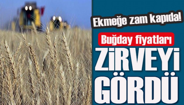 Buğday fiyatları zirveyi gördü! Ekmeğe zam kapıda