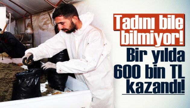 Tadını bile bilmiyor! Yılda 600 bin TL kazandı