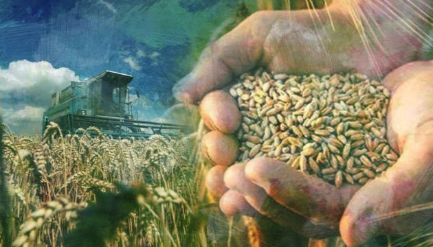 Rusya, Türkiye'nin en büyük buğday tedarikçisi