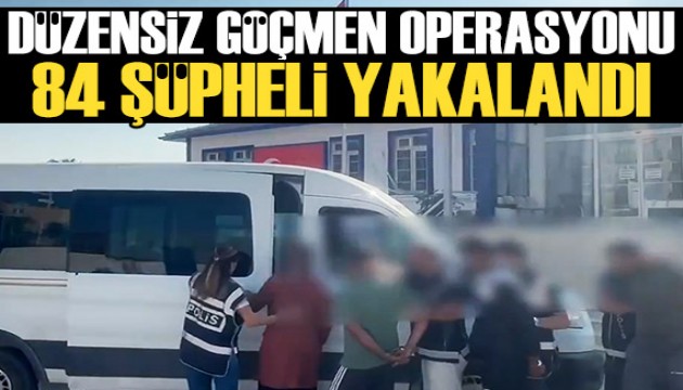 Düzensiz göçmen operasyonu: 84 şüpheli gözaltında