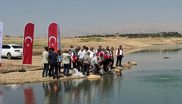 Atatürk Baraj Göleti'ne 1 milyondan fazla balık yavrusu bırakıldı