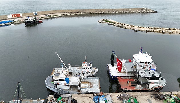 Kırklareli'nde hamsi bereketi