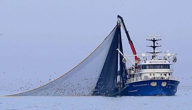 Hamside bolluk bekleniyor