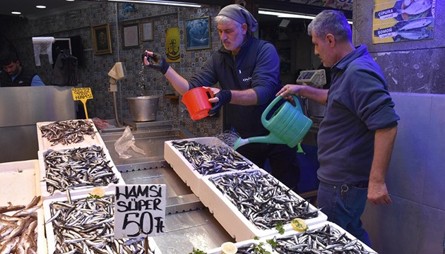 Trabzon'da hamsi bolluğu