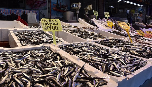 Hamsi 100 liradan satışa çıktı