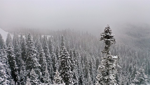 Ilgaz Dağı beyaza büründü