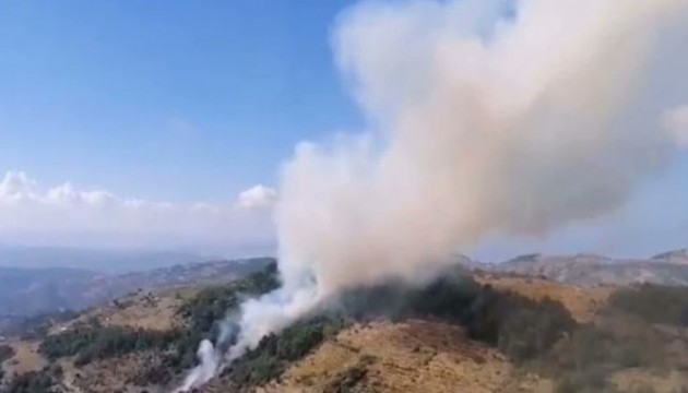 İzmir'de orman yangını