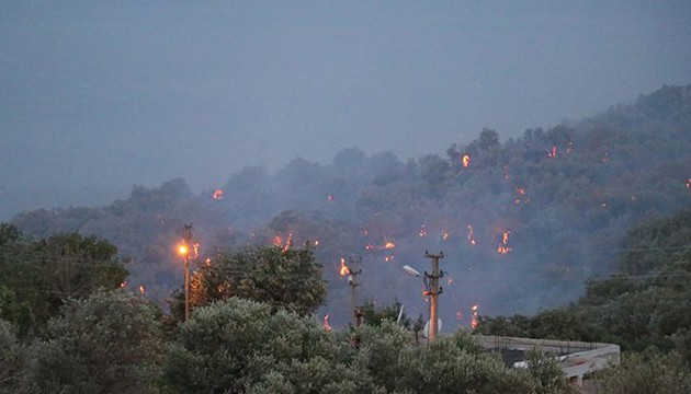 İzmir'de orman yangını