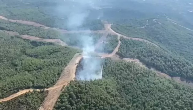 İzmir'de orman yangını! Müdahale sürüyor