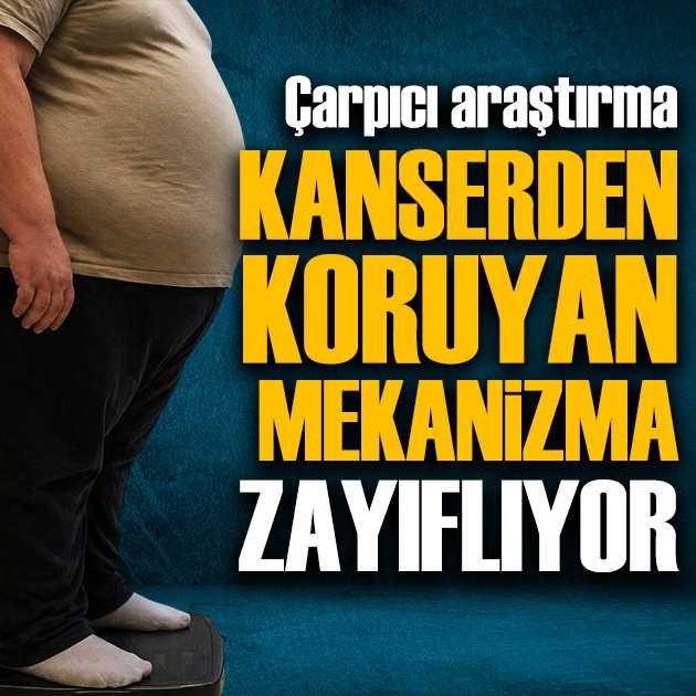 Obeziteyle ilgili çarpıcı araştırma: Kanserden koruyan mekanizma zayıflıyor!