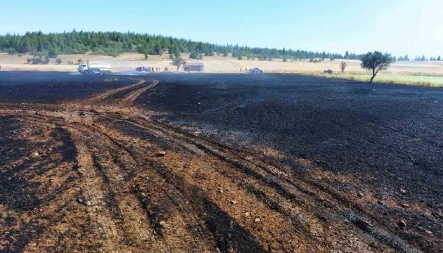 Çay keyfi zehir oldu! 20 dönüm arazi yandı