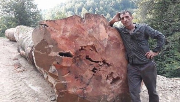 Kestiği ağaç üzerine devrildi!