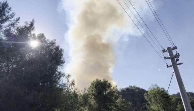 Çeşme'de orman yangını