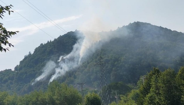 Kastamonu'da orman yangını