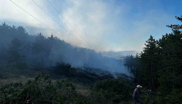 Kastamonu'daki orman yangını kontrol altına alındı