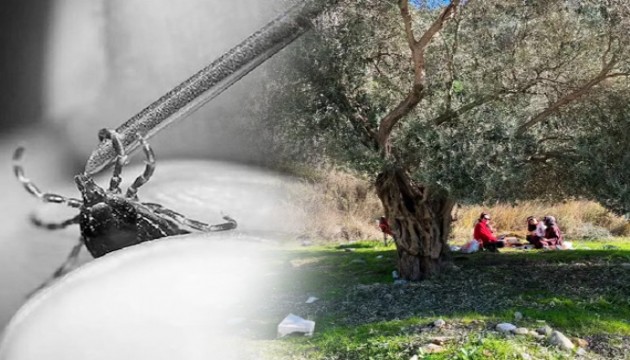 Yazın kabusu can aldı: İlaçlama seferberliği başlatıldı