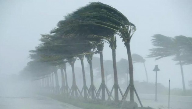 Şiddetli rüzgardan dolayı hayatını kaybetti