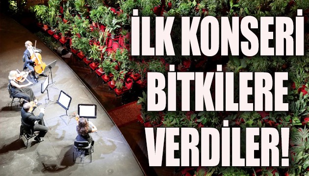 İlk konseri bitkilere verdiler!