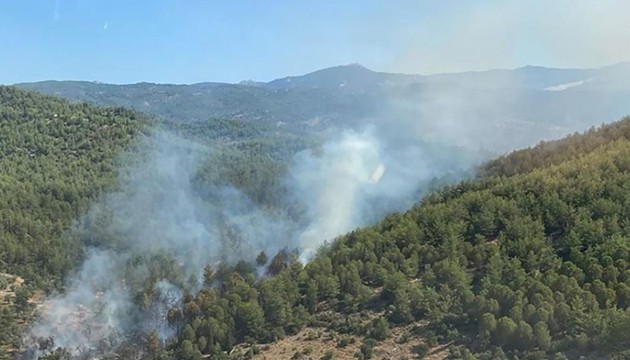 Muğla'daki orman yangını söndürüldü