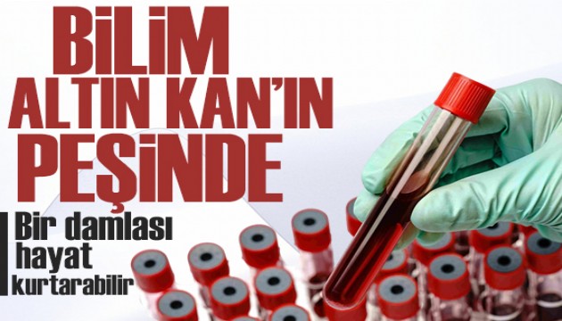 Bilim 'altın kan'ın peşinde: Bir damla Rh null hayat kurtarabilir