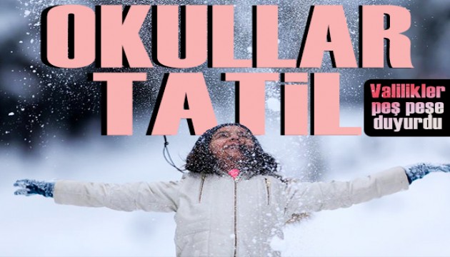 İstanbul, Ankara ve birçok ilde okullar tatil edildi