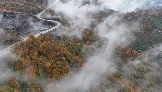 Sonbahar ile sis buluştu