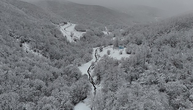 Karla kaplı ormanlar görüntülendi