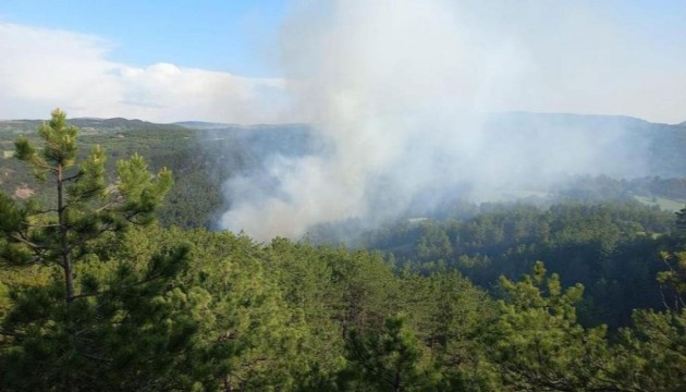 Muğla'da ormanlara giriş yasağı