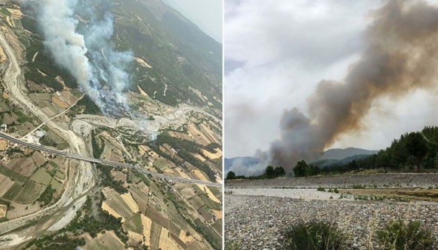 Muğla'da orman yangını