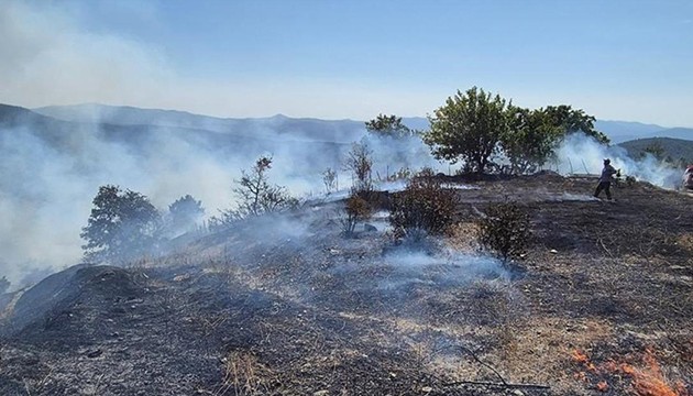 Orman yangını kontrol altında