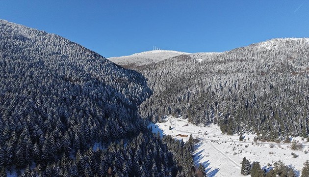 Kar altındaki ormanlar görüntülendi