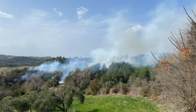 Osmaniye'de orman yangını