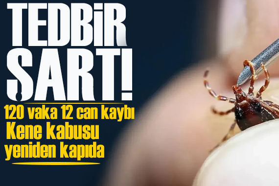 Kene kabusu yeniden kapıda! Uzmanlar uyarıyor, tedbir şart!