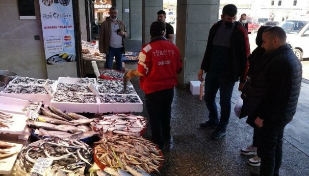 Hamsinin fiyatı 10 liraya kadar düştü!