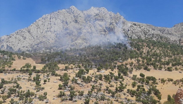 Adıyaman'da orman yangını!