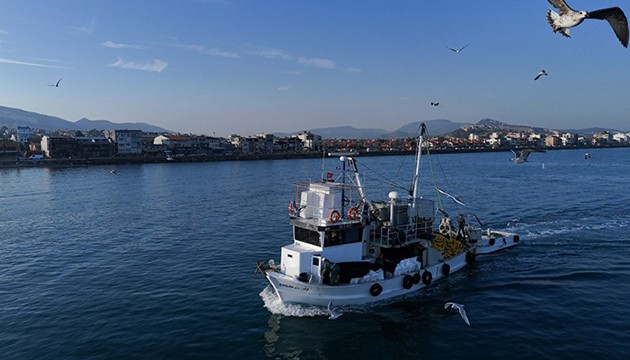 Ege'de sardalya bereketi