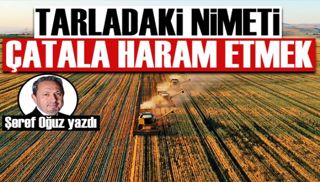 Şeref Oğuz yazdı: Tarladaki nimeti çatala haram etmek...