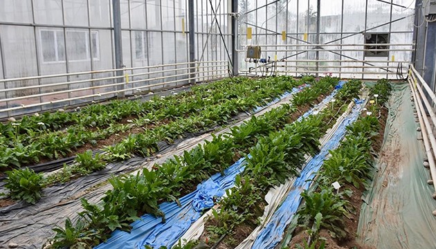 Dikkat çeken enerji tasarrufu önerisi