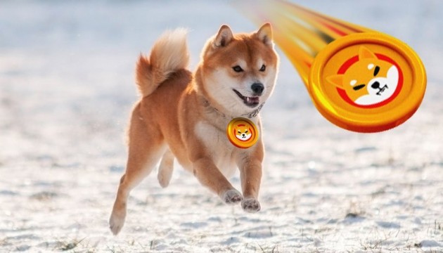 Shiba coin sahiplerine müjde!