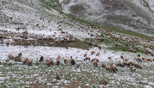 Mayıs ayında kar yağışı etkili oldu