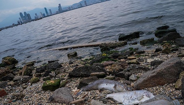 İzmir Körfezi'yle ilgili soruşturma