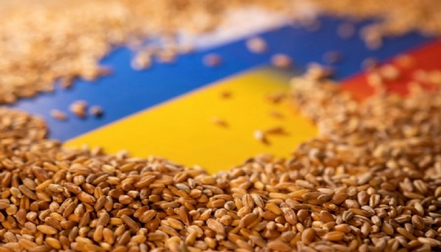 AB'den tahıl ürünleri ithalatı kararı
