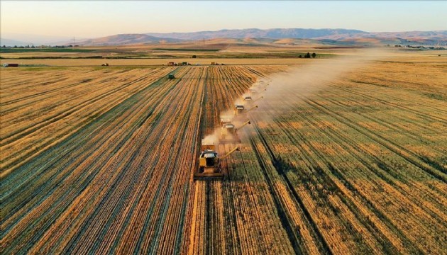 Tarım Kredi Kooperatifleri'nden üreticiye borç yapılandırması