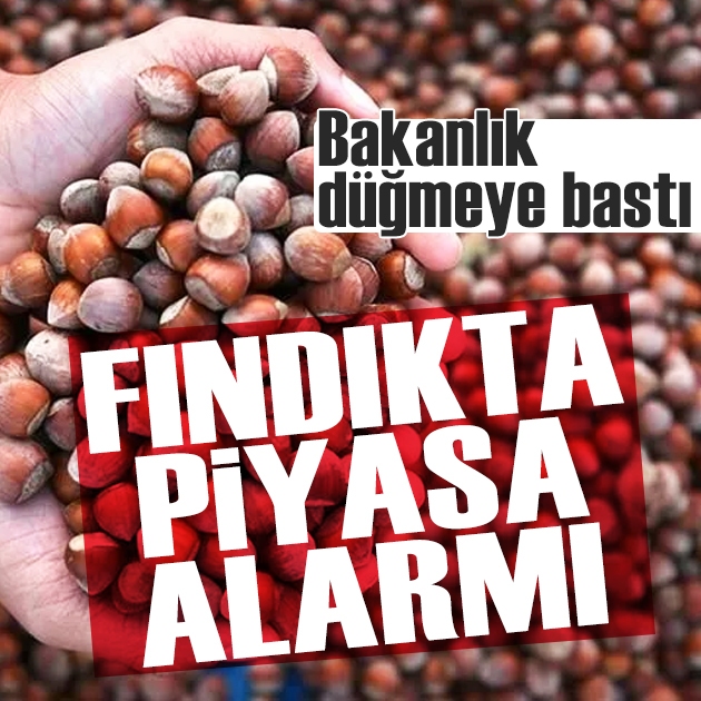 Fındık fiyatları ve piyasalar için bakanlık harekete geçti: 4 borsada inceleme başlatıldı!