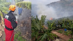 Antalya'da muz bahçesinde yangın!