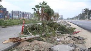 Hatay'da şiddetli fırtına hayatı felç etti